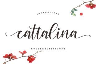 Cattalina: The Modern Script Font for Scroll-Stopping Designs