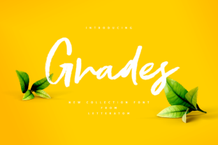 Grades Font Review: A Designer’s Take on Script Amp’s Latest