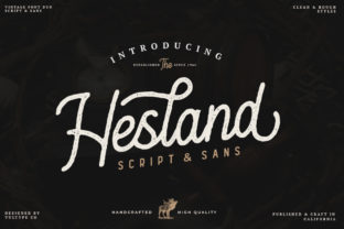 Hesland: The Vintage Typeface for Scroll-Stopping Campaigns