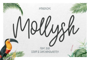 Mollysh: The Whimsical Handwritten Font for Crafters