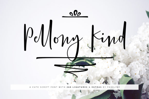 Pellony Kind: A Friendly Typeface for Modern Campaigns
