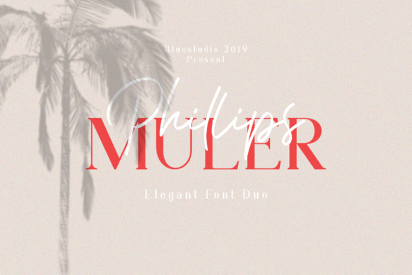 Phillips Muler: A Versatile Typeface for Modern Branding
